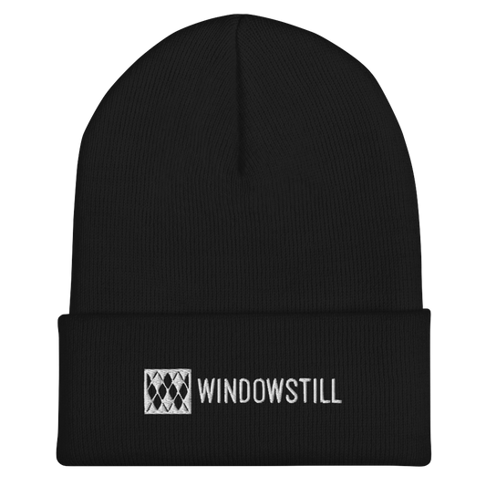 WindowStill Skully